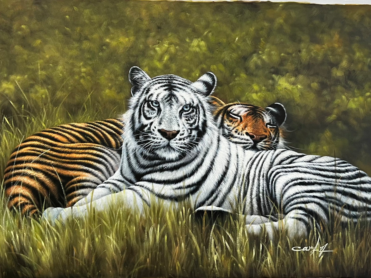 Lazy Day Tigers 24 x 36