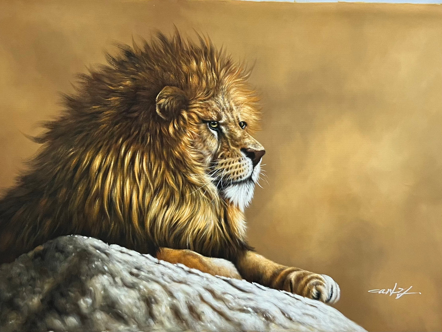 Pensive Lion 24 x 36