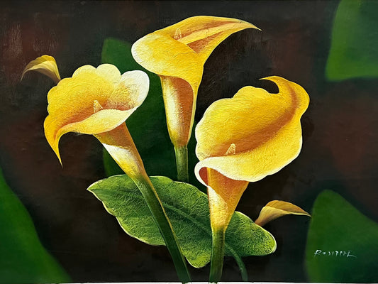 Yellow Calla Lillies 24 x 36