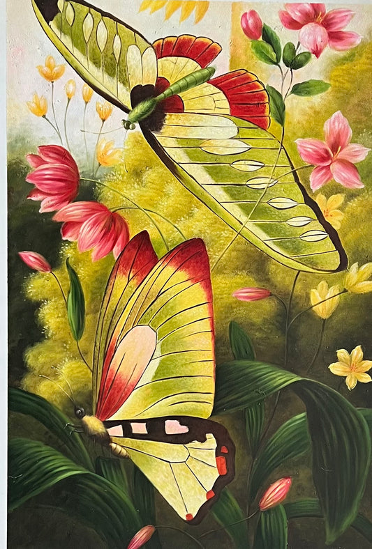 Butterfly Transformation 24 x 36