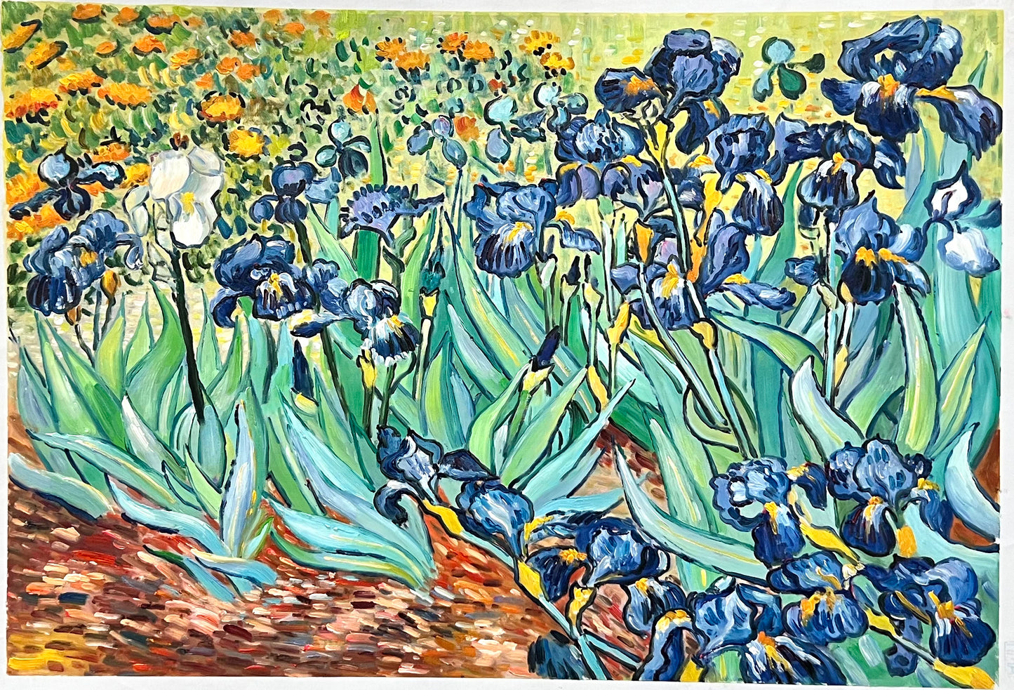 Irises 24 x 36