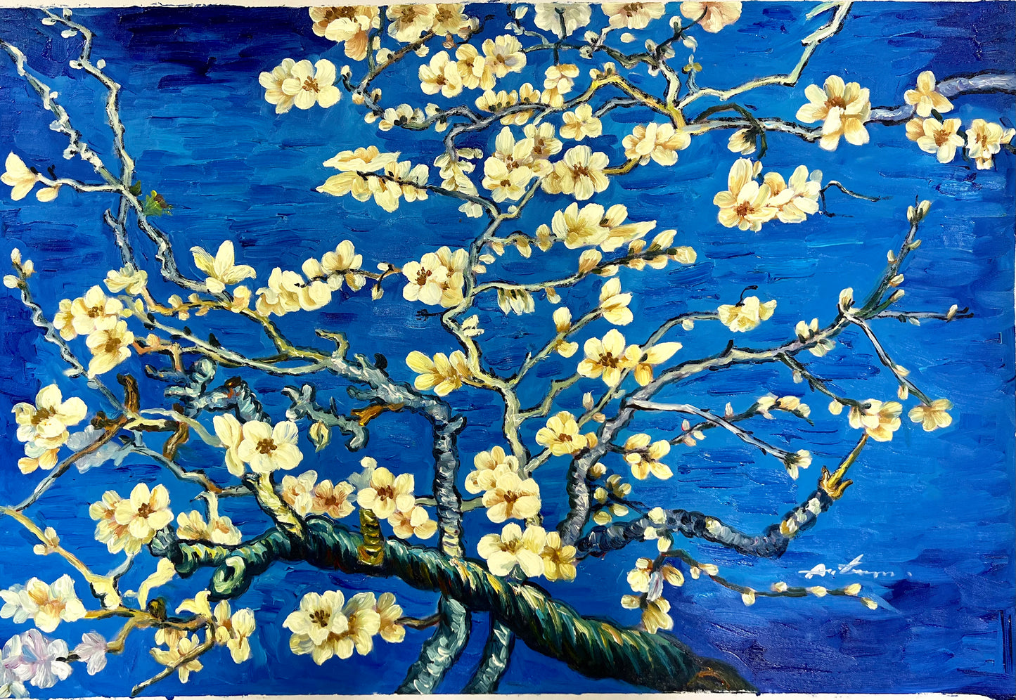 Cherry Blossoms 24 x 36