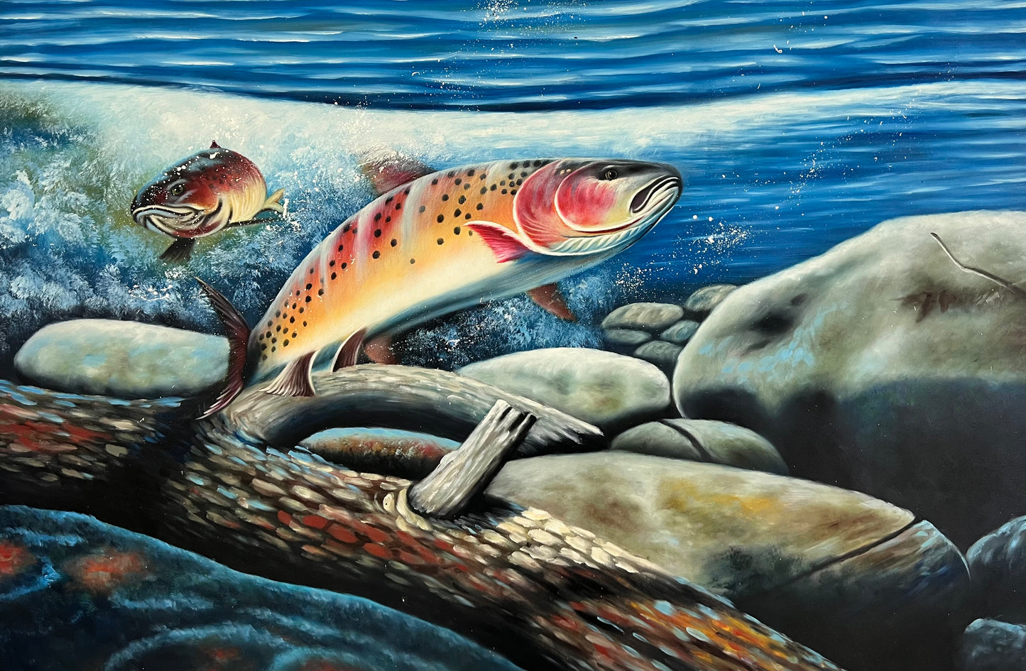 Freshwater Salmon 24x36